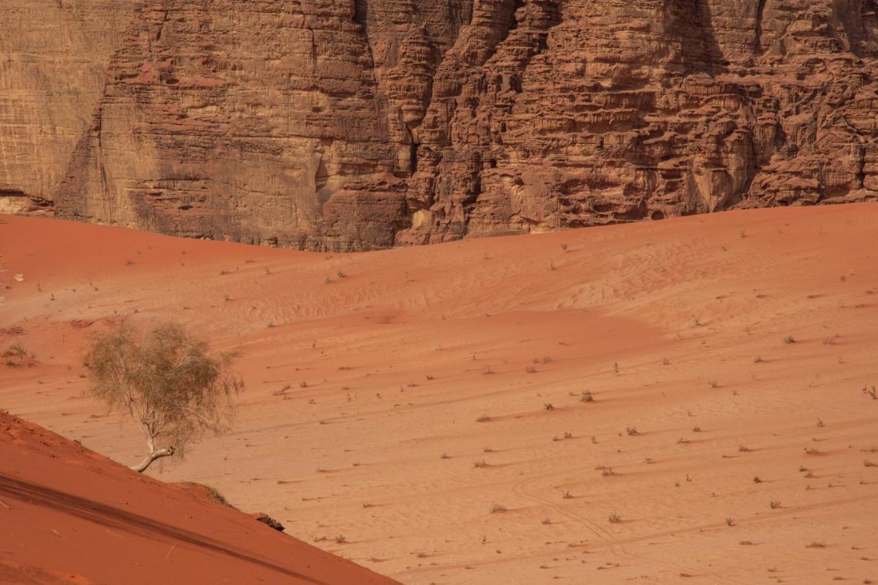 Wadi Rum Bright Moon Exterior photo